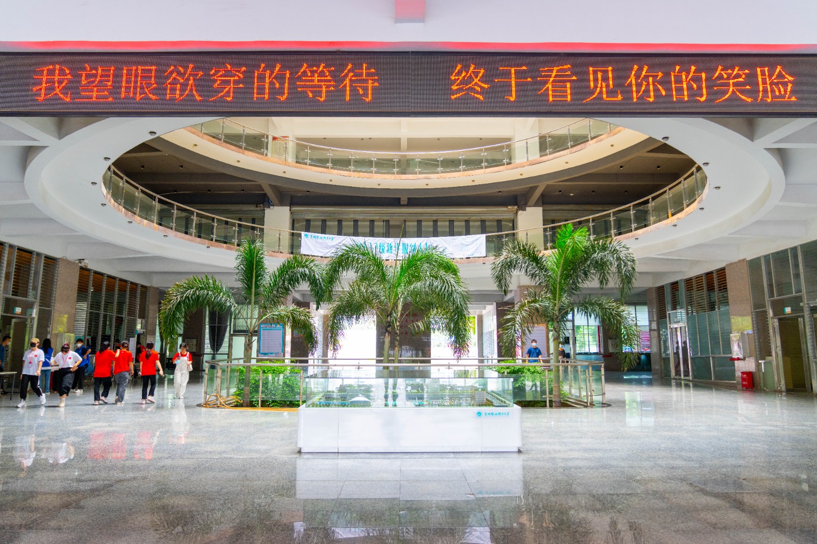 YYC06418.jpg YYC06418.jpg